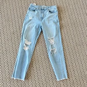 Joes Jeans High Rise Straight Crop